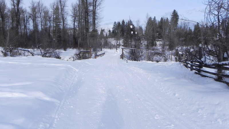 DSCN1598.JPG